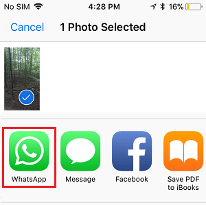 How To Share Photos To WhatsApp On iPhone From Camera Roll