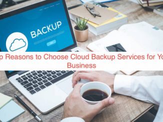 Top Reasons to Choose Cloud Backup Services for Your Business
