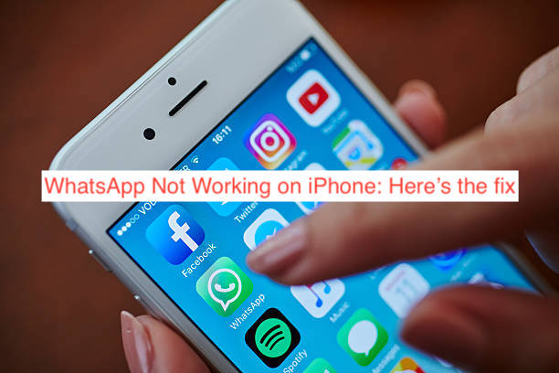 WhatsApp Not Working on iPhone