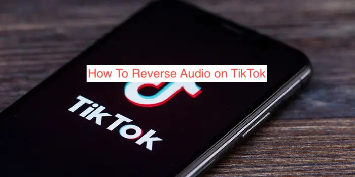 How To Reverse Audio on TikTok