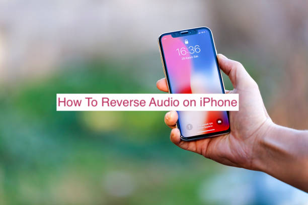 How To Reverse Audio on iPhone
