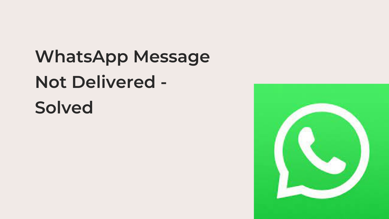 WhatsApp Message Not Delivered