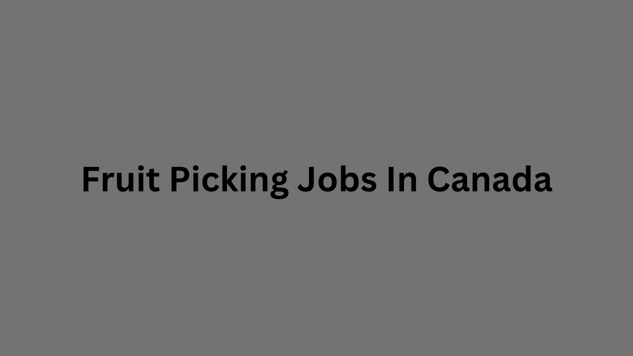 Fruit Picking Jobs In Canada