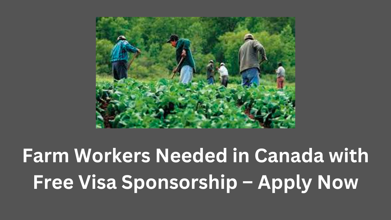 Farm Workers Needed in Canada with Free Visa Sponsorship – Apply Now ...