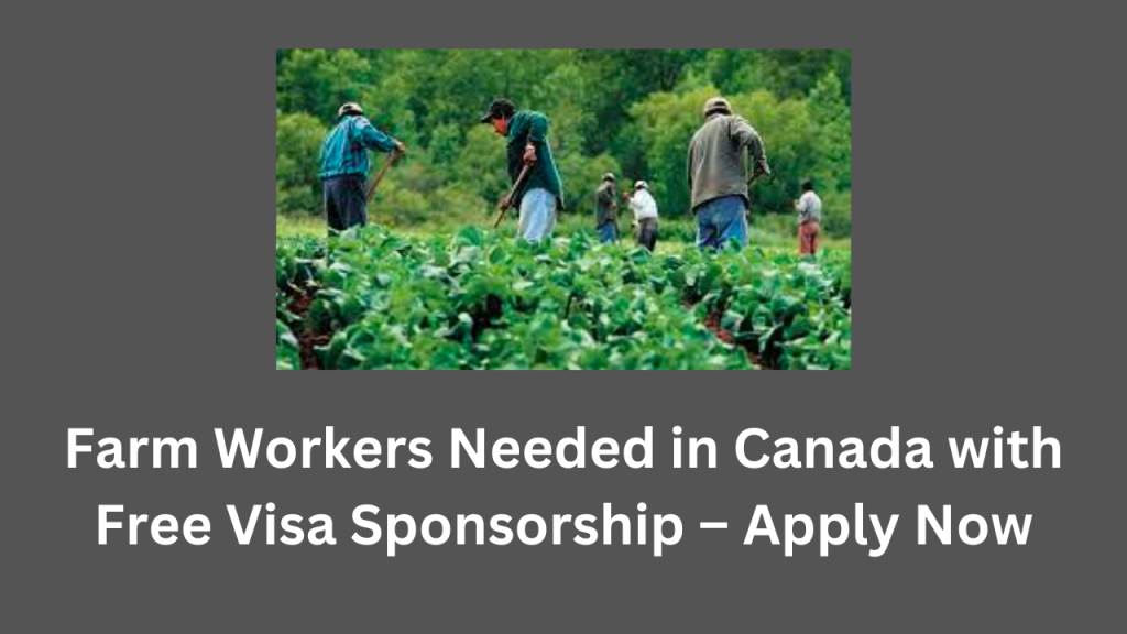 Farm Workers Needed in Canada with Free Visa Sponsorship Apply Now
